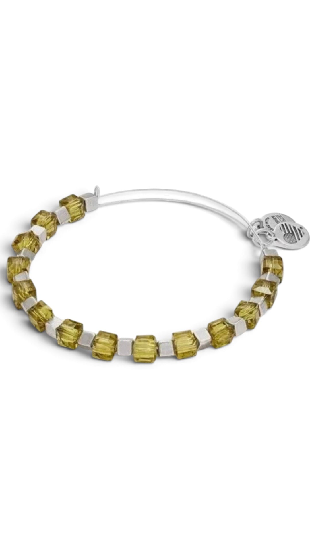 Alex and Ani - Fern Trailblazer Beaded Bangle Bracelet