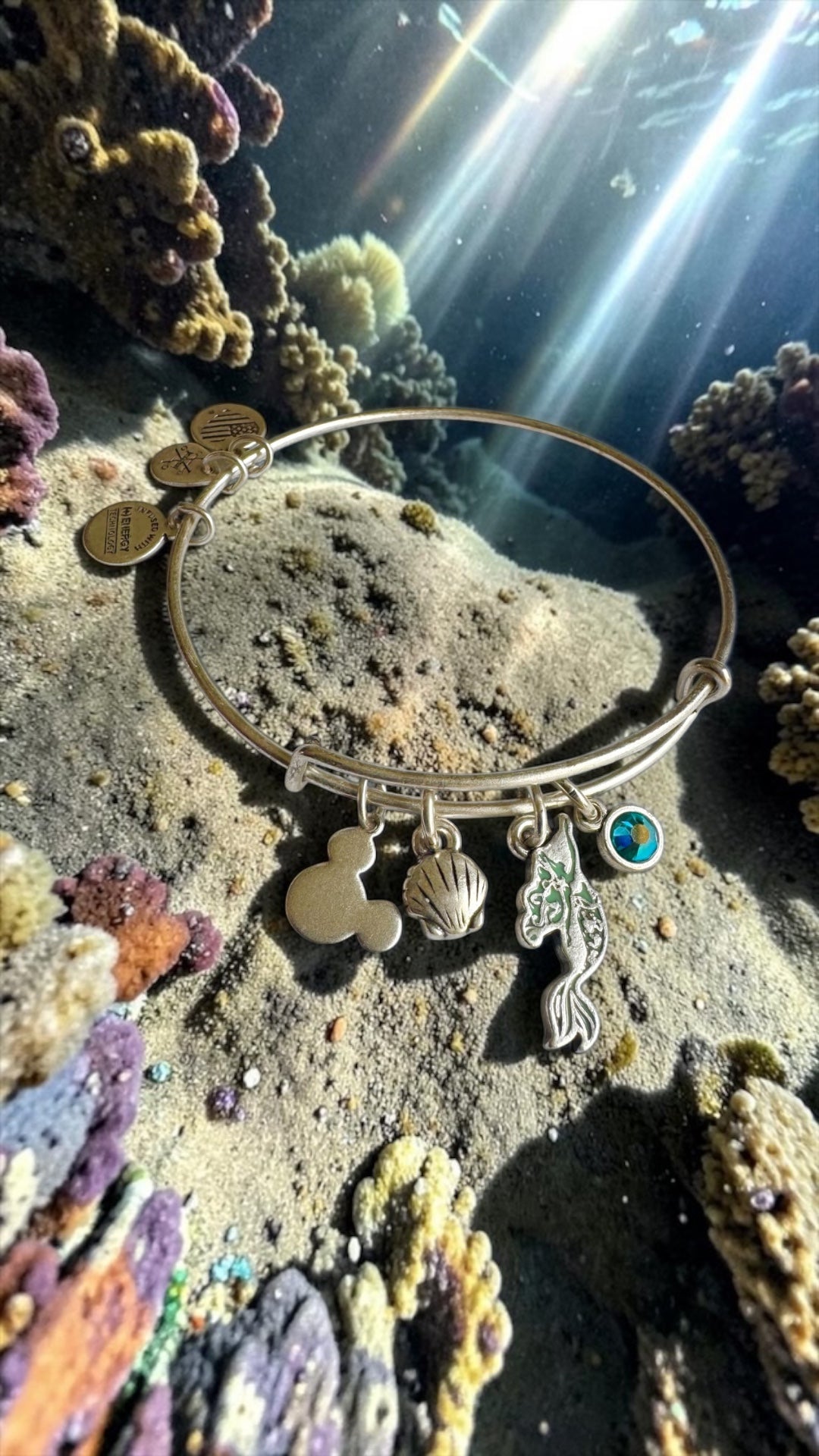 Alex and Ani - Ariel Charm Bangle Bracelet, Park Exclusive