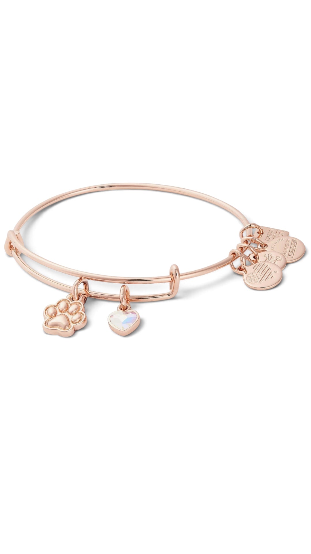 Alex and Ani - Paw Print Duo Charm Bangle Bracelet