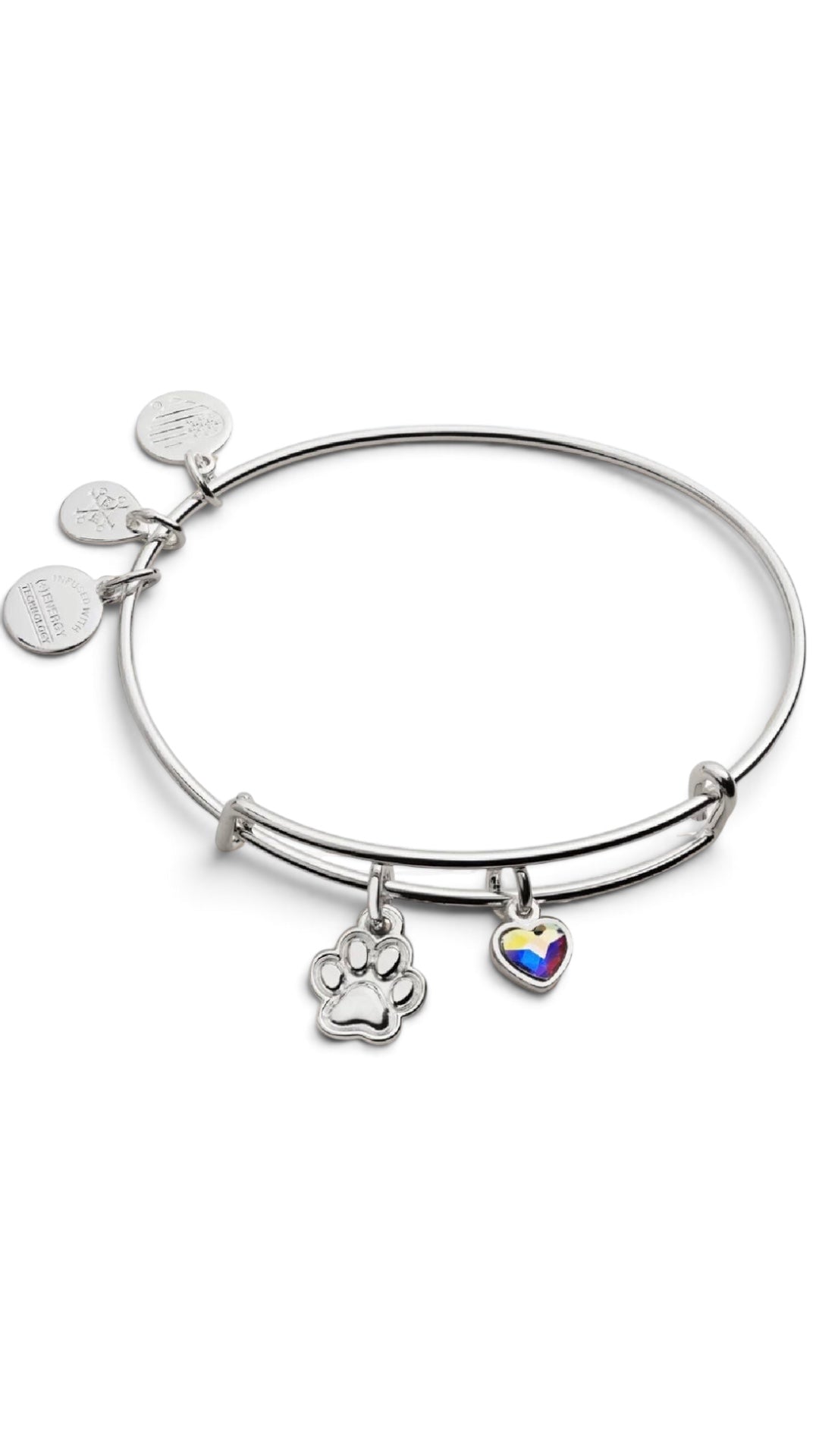 Alex and Ani - Paw Print Duo Charm Bangle Bracelet