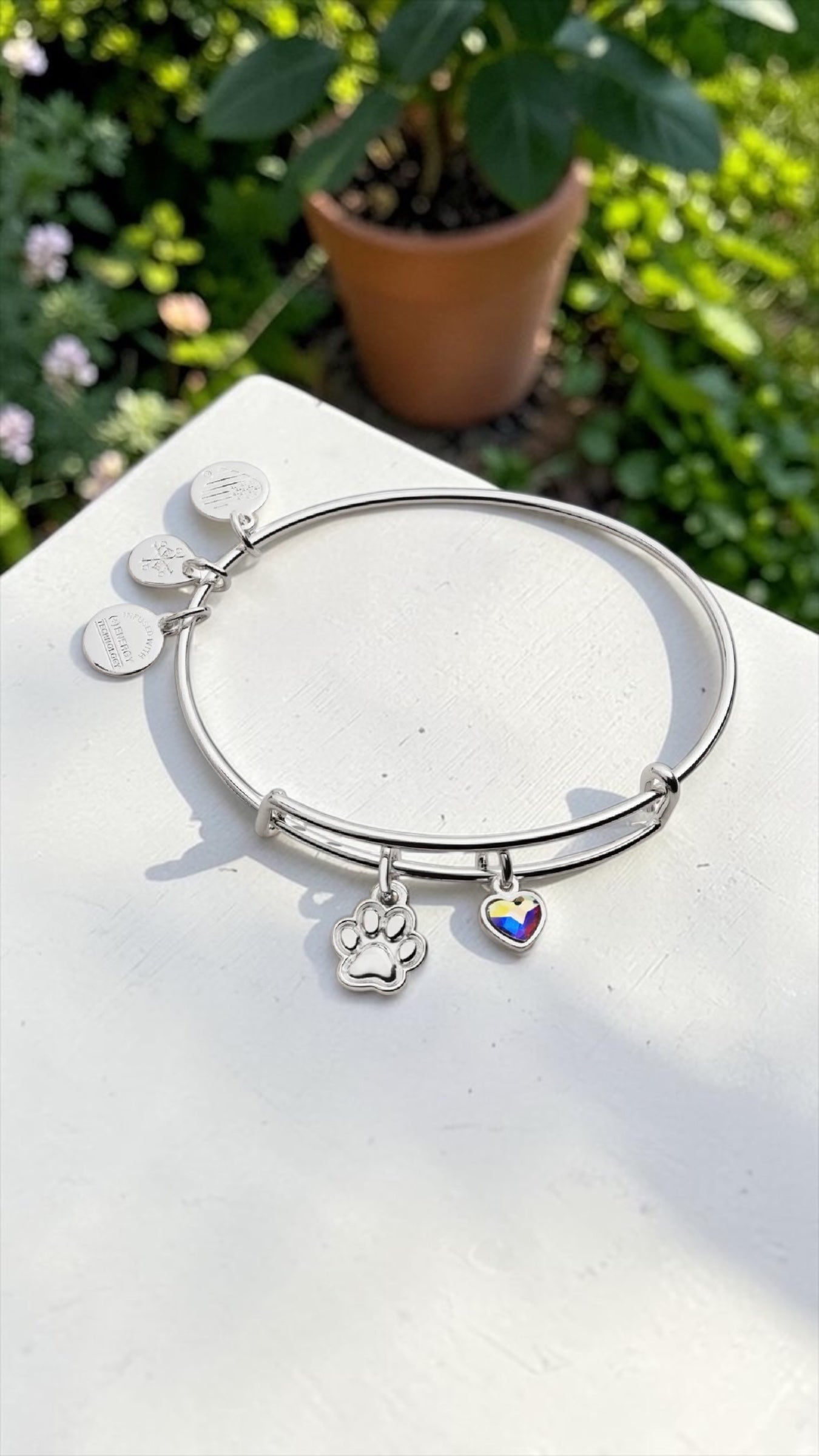 Alex and Ani - Paw Print Duo Charm Bangle Bracelet