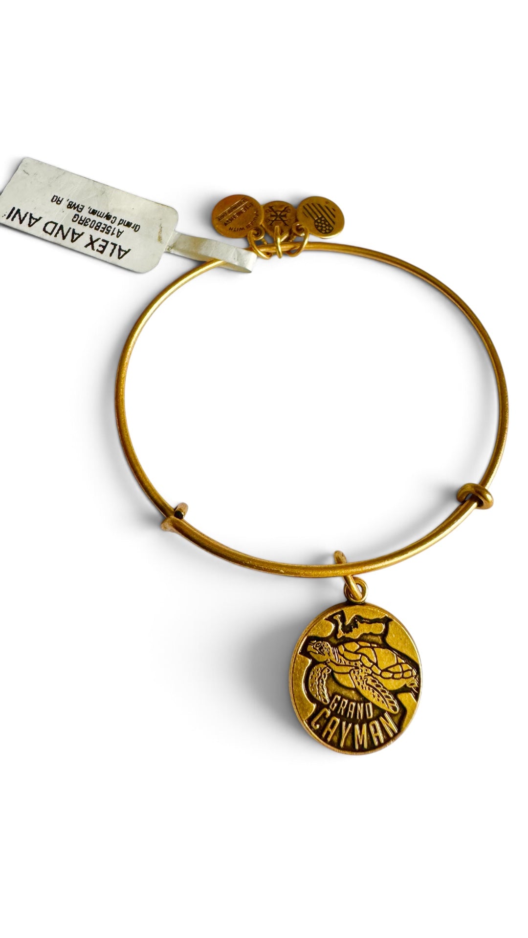 Alex and Ani - Grand Cayman Charm Bangle Bracelet, Destination Charm
