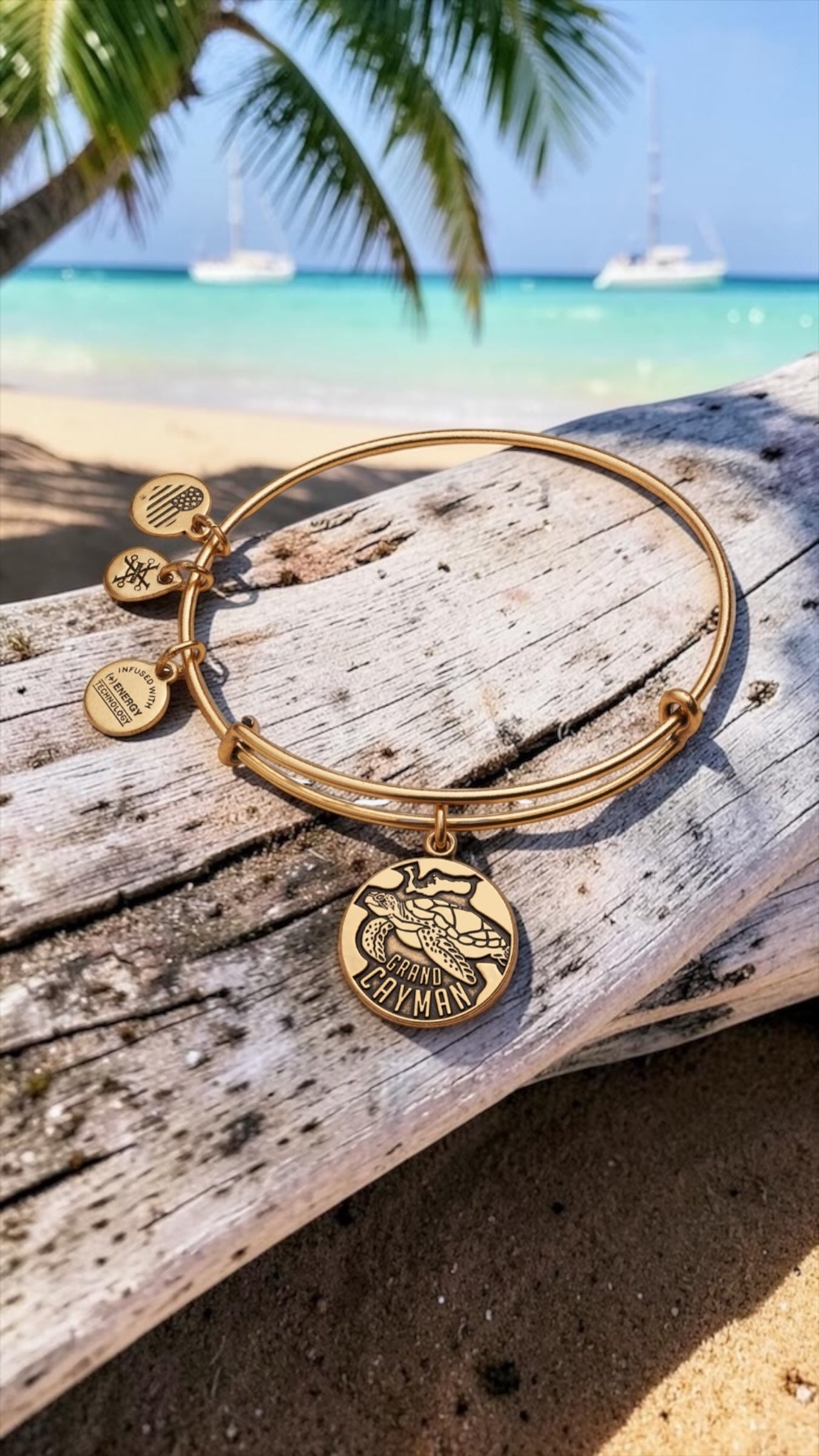 Alex and Ani - Grand Cayman Charm Bangle Bracelet, Destination Charm