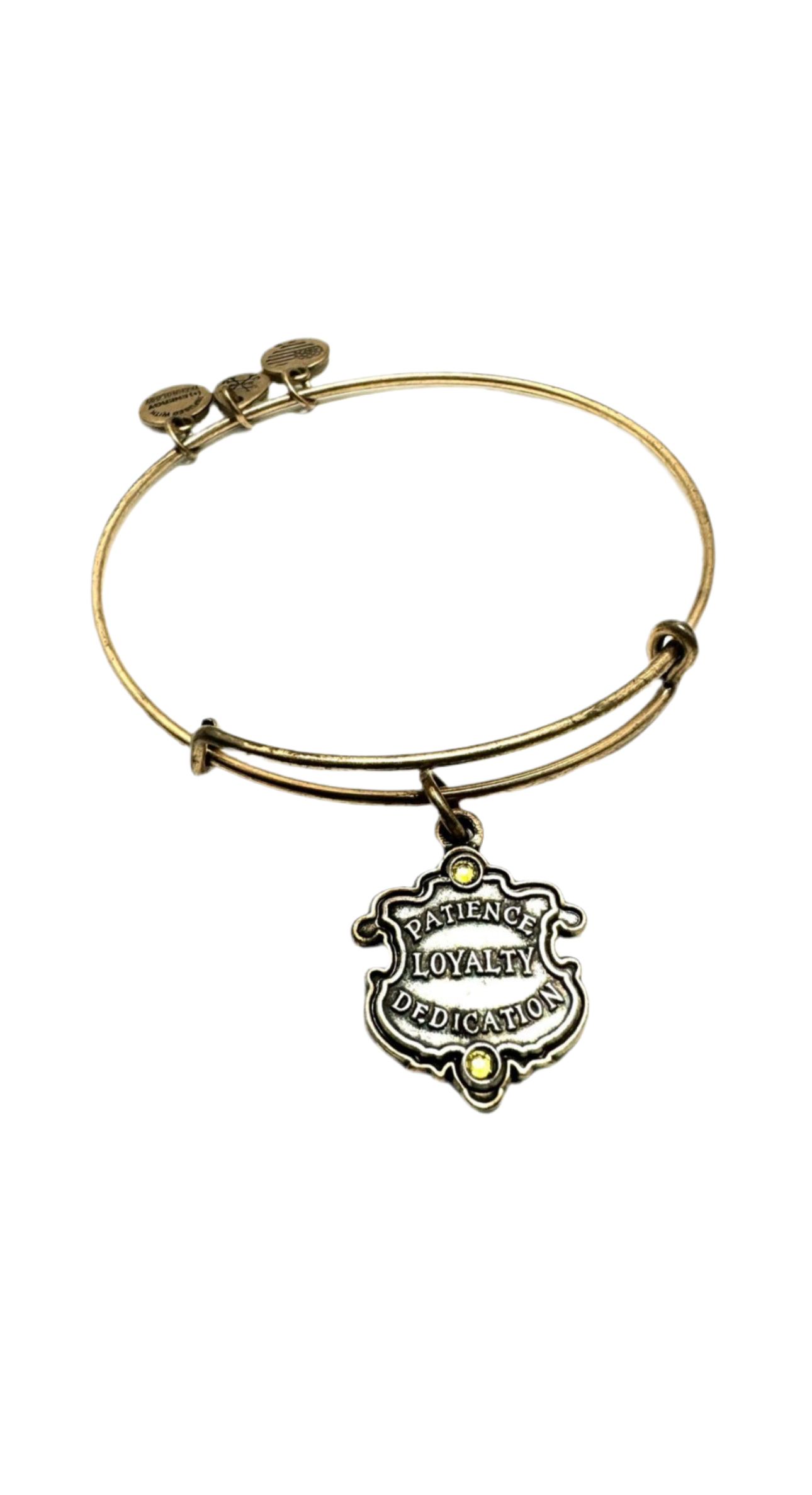 Alex and Ani Harry Potter Hufflepuff Bangle Bracelet
