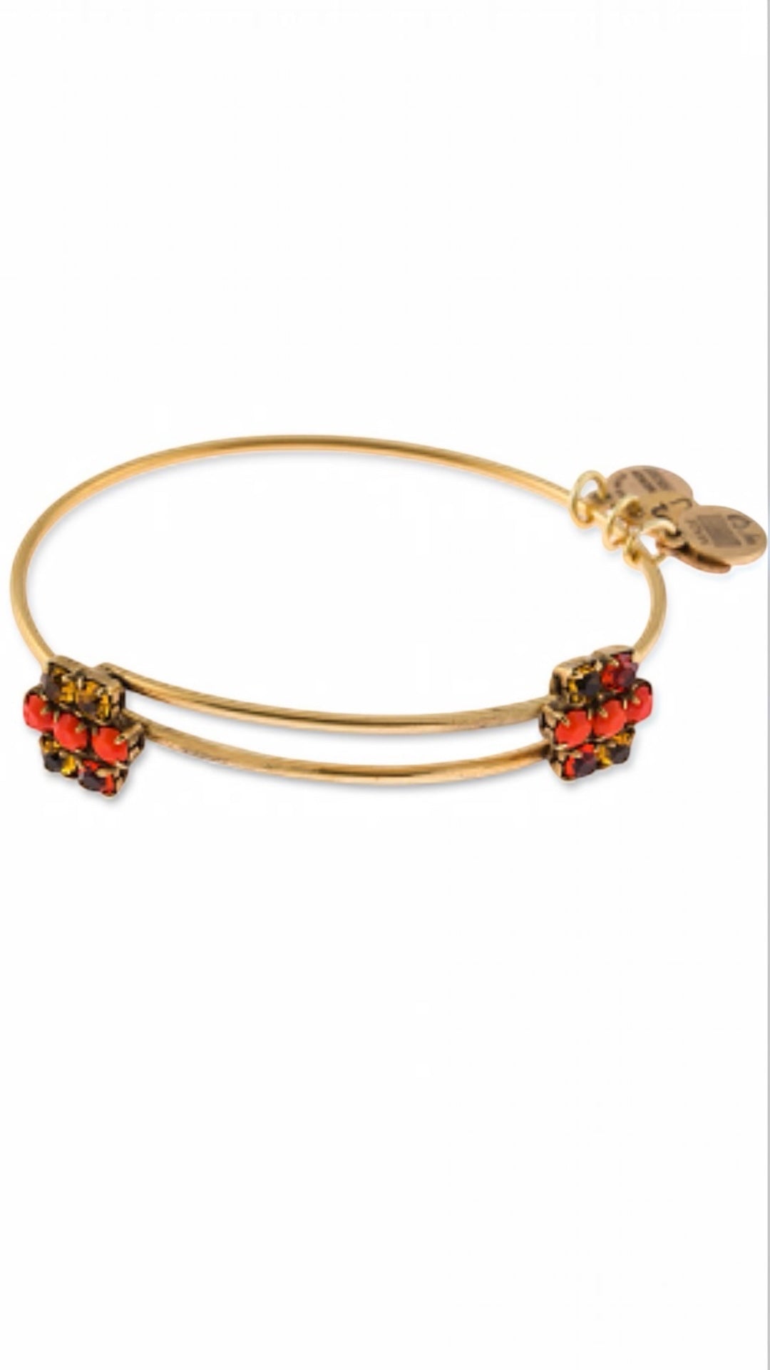 Alex and Ani - Sparkler Cinnamon Beads and Gold Swarovski Crystal Bangle Bracelet