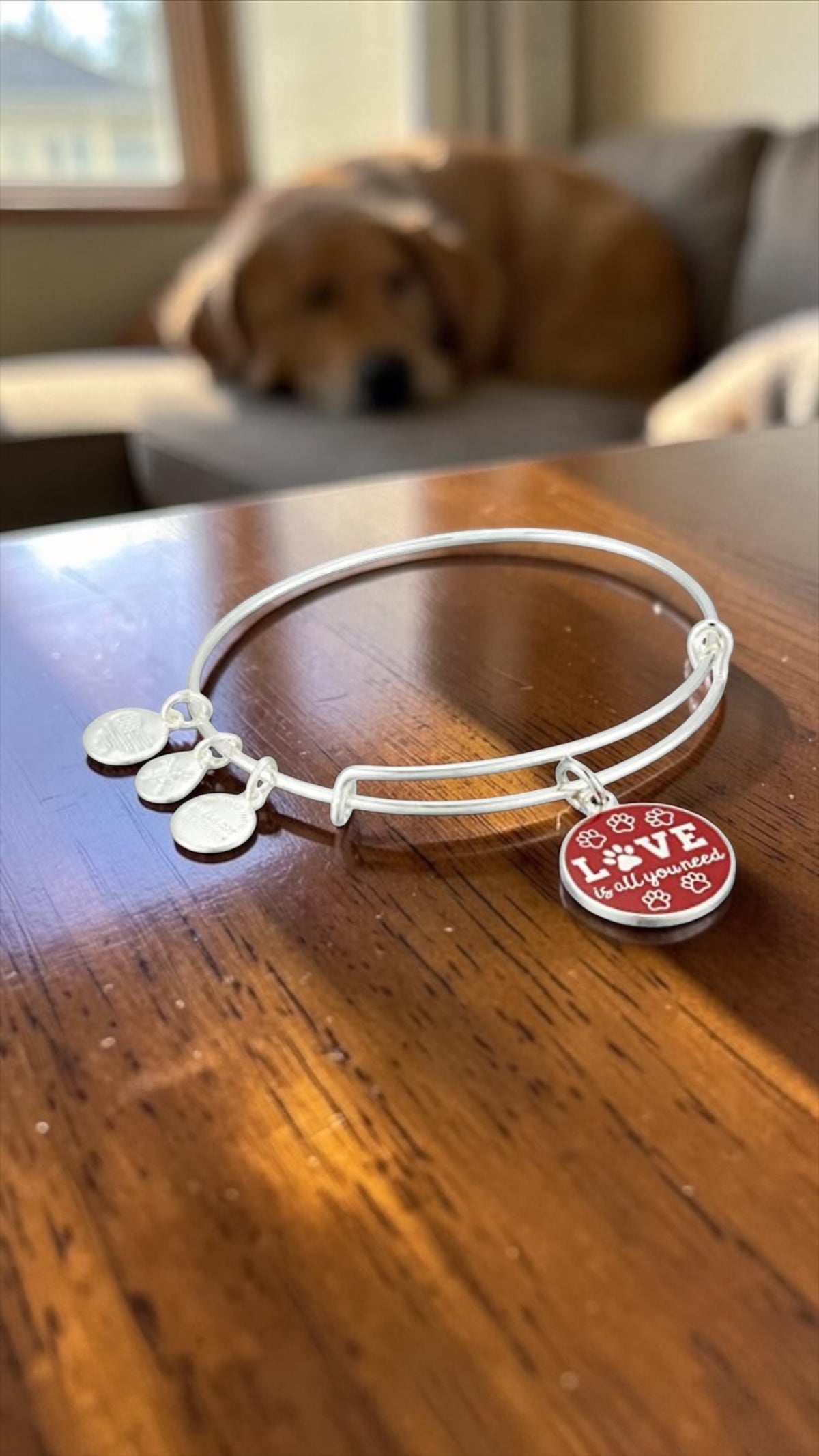 Alex and Ani - “Love is All You Need” Charm Bangle Bracelet