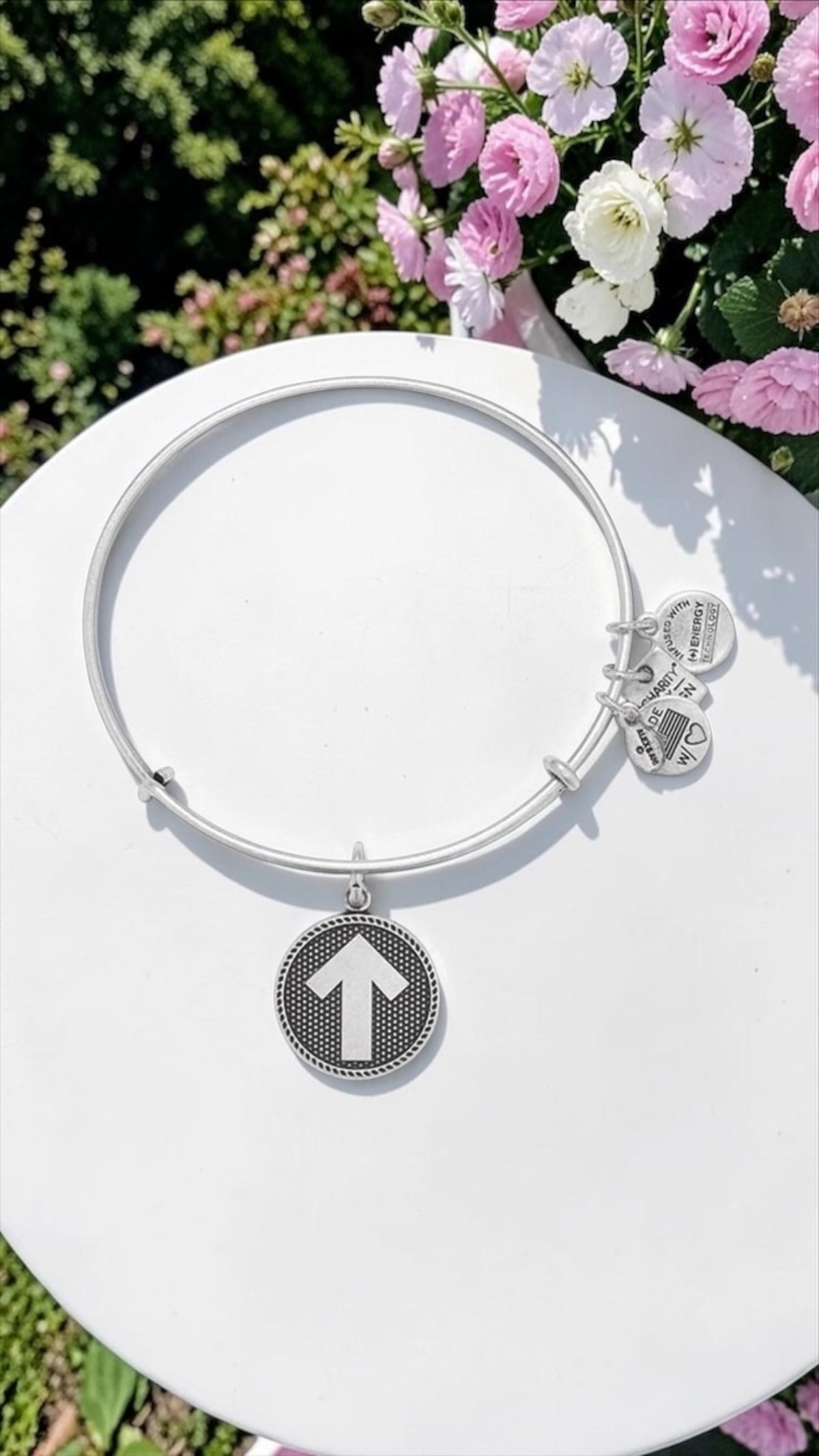 Alex and Ani - Stand Up 2 Cancer Charm Bangle, Rafaelian Silver/Gold, Adjustable & Stackable, Bracelet, Collectable Gift for Her
