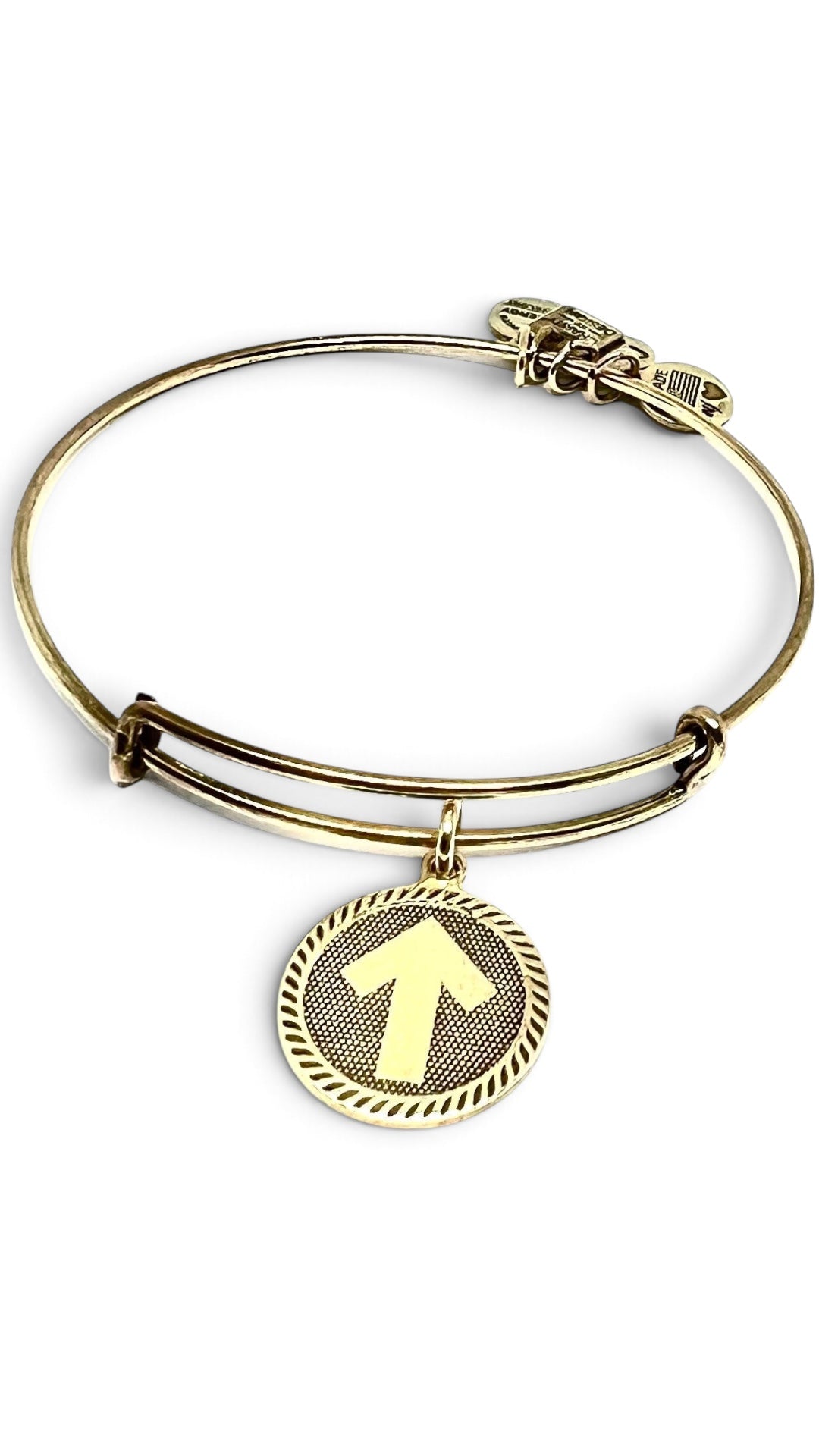 Alex and Ani - Stand Up 2 Cancer Charm Bangle, Rafaelian Silver/Gold, Adjustable & Stackable, Bracelet, Collectable Gift for Her