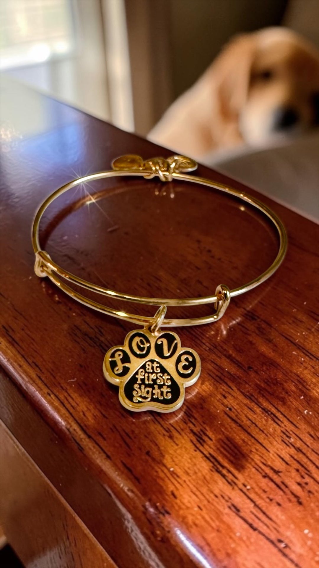 Alex and Ani - “Love At First Sight” Charm Bangle Bracelet