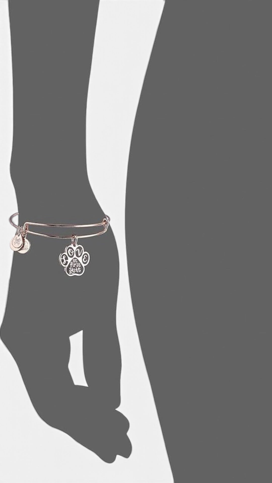 Alex and Ani - “Love At First Sight” Charm Bangle Bracelet