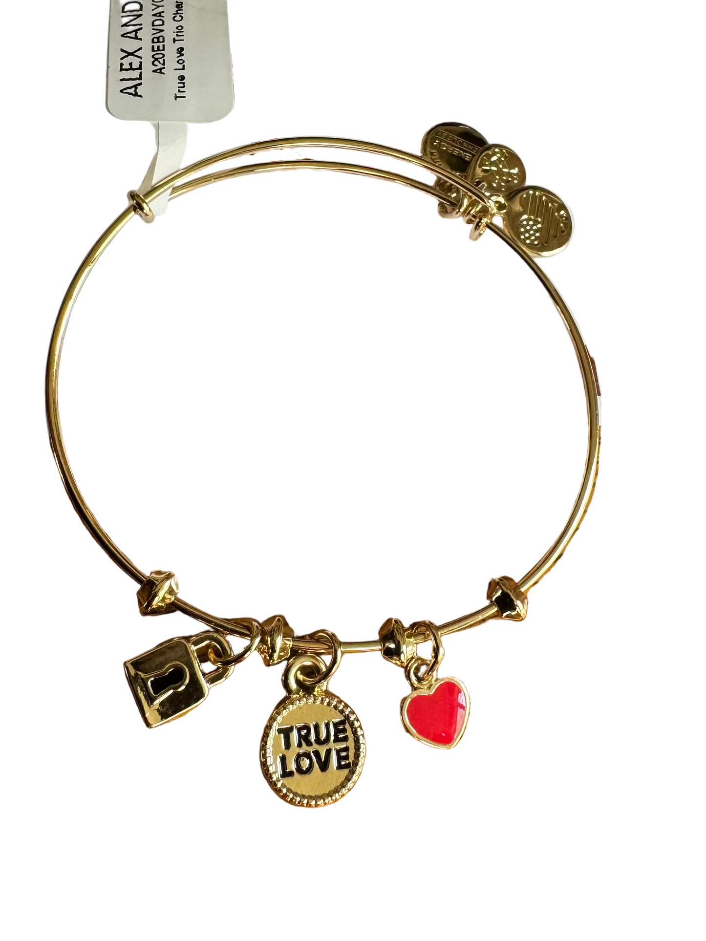 Alex and Ani - True Love Triple Charm Bangle Bracelet