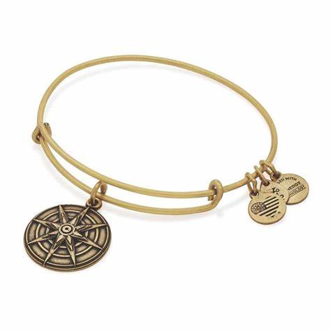 Alex and Ani - Star of Venus Charm Bangle Bracelet