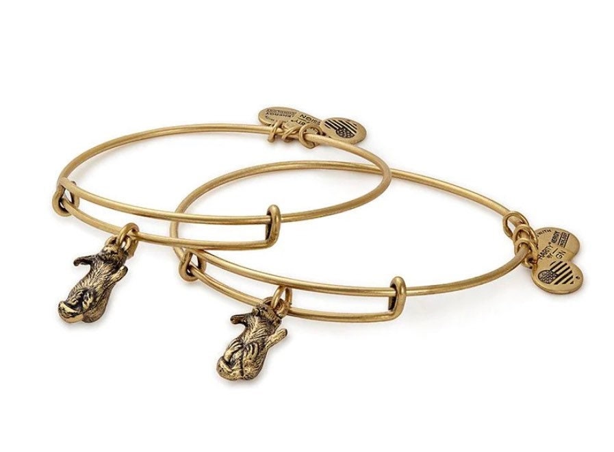 Alex and Ani - Charity by Design, Pair of Otters, 2 Bracelets, Rafaelian Gold/Silver, Gift for You & Your BFF, NWOT, Collectable Gift