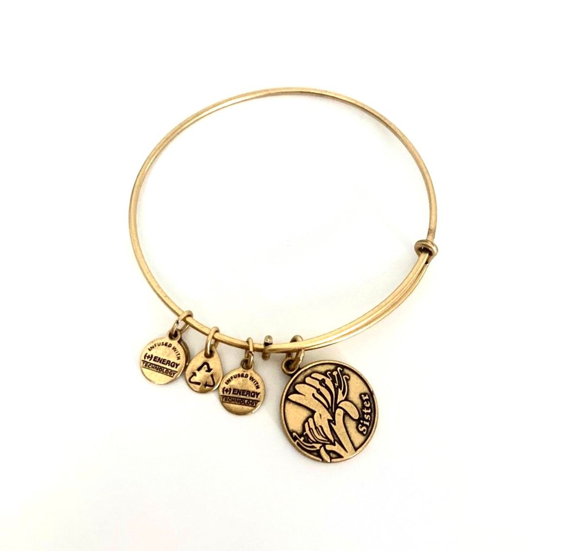 Alex and Ani - “Sister” Charm Slide Bangle in Rafaelian Silver/Gold®, Collector's Bracelet, Gift for Her