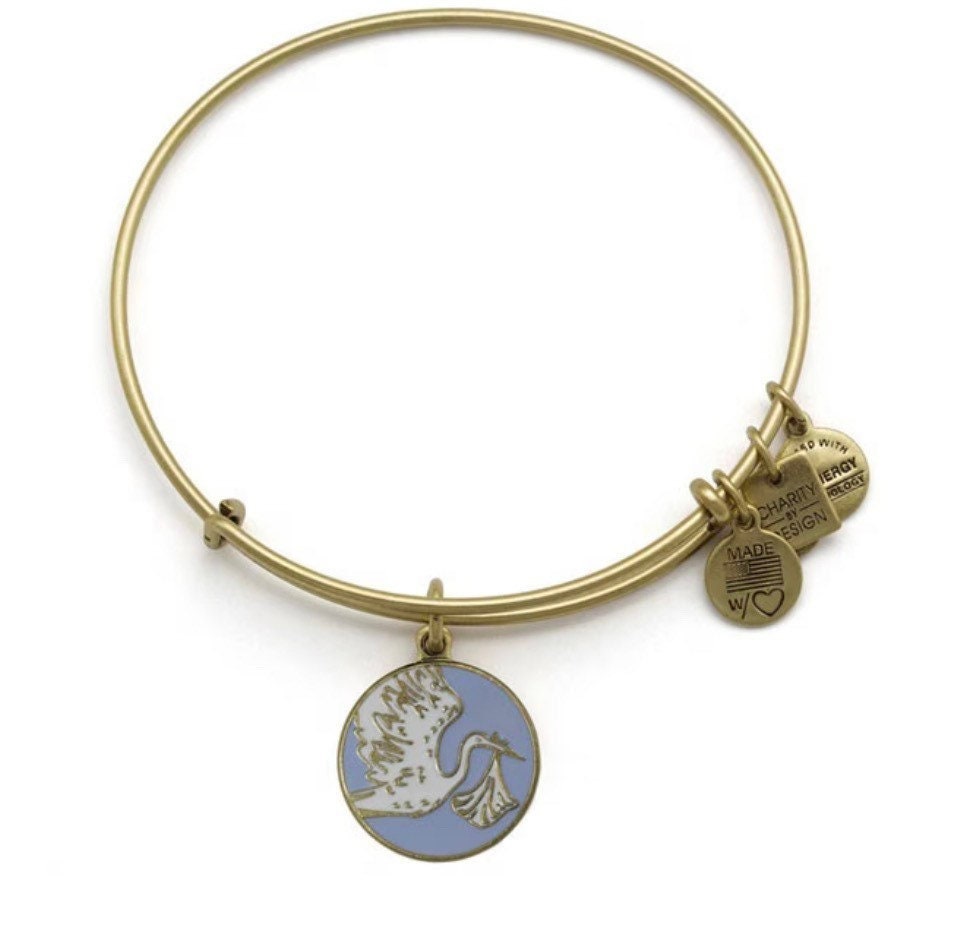 Alex and Ani - Blue Special Delivery Charm Bangle, Rafaelian Rose Gold Finish Charm Bangle