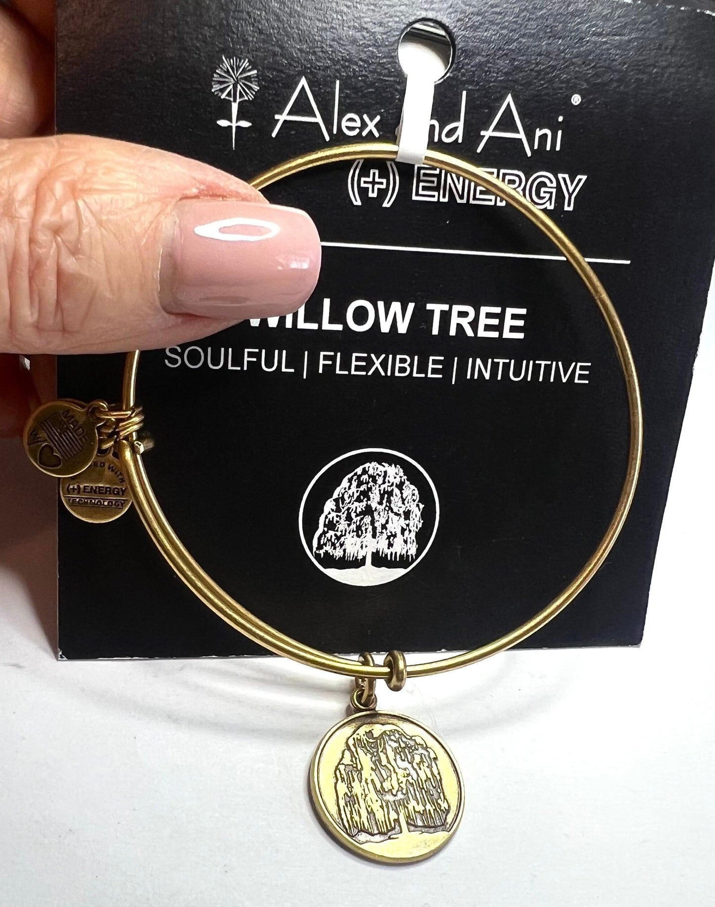 Alex and Ani - Willow Tree Charm Rafaelian Silver Bangle Bracelet