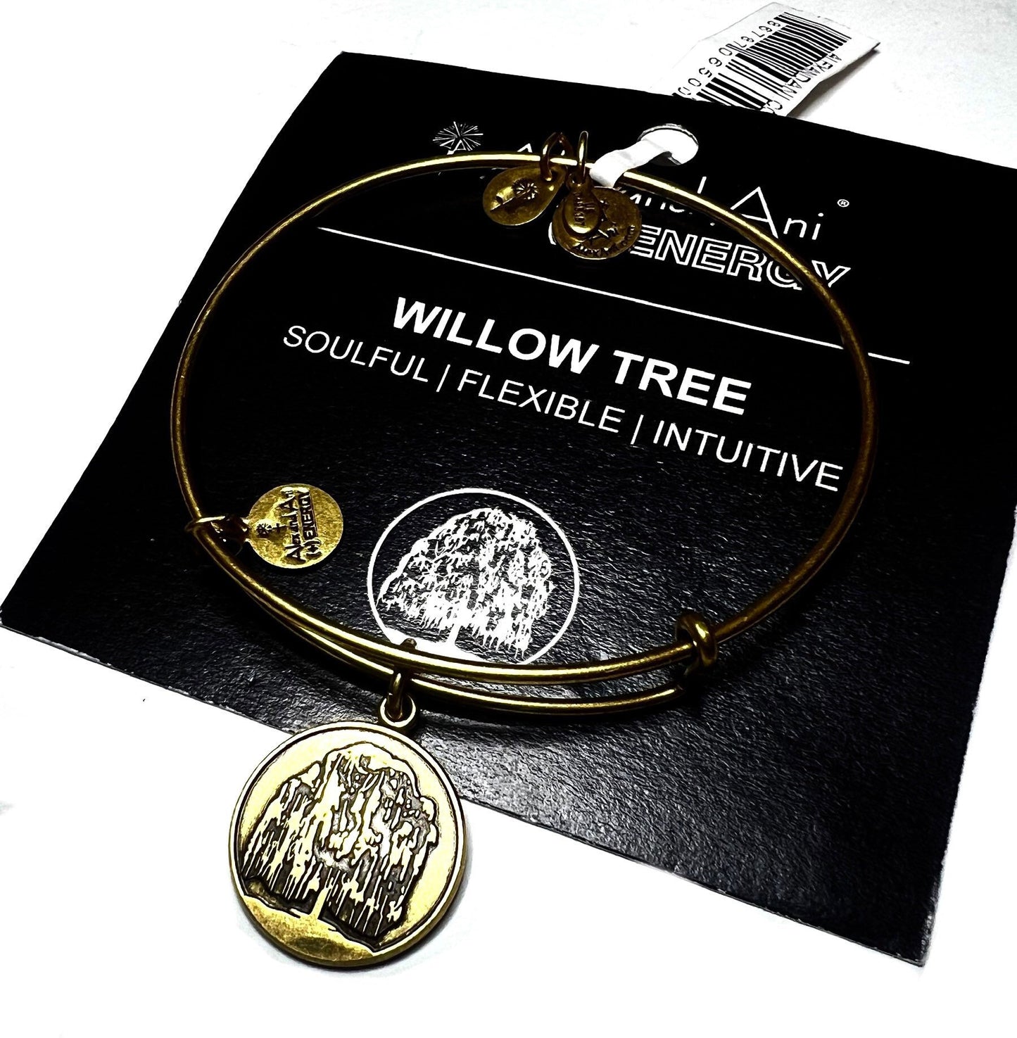 Alex and Ani - Willow Tree Charm Rafaelian Silver Bangle Bracelet