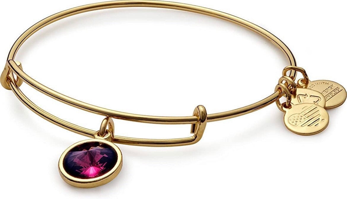 Alex and Ani - February Birthstone Swarovski Crystal Amethyst, Bracelet Bangle