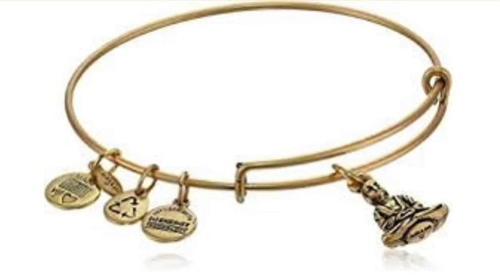 Alex and Ani - Buddha Charm Bangle Bracelet, Rafaelian Gold/Silver, Slide Bangle, Adjustable Bracelet, Collectable Gift for Her