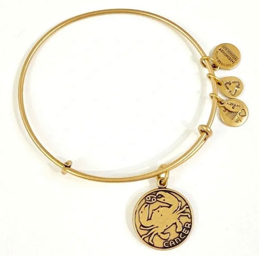 Alex and Ani - Cancer Zodiac Charm Bangle - June 21 to July 22 -  Bracelet, Rafaelian Gold Finish, NWT, Cllector’s Gift For Her