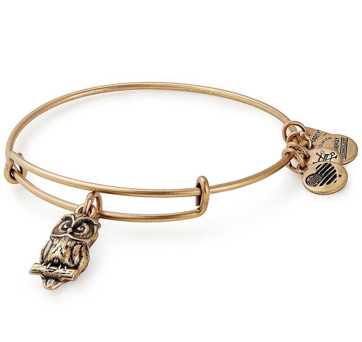 Alex and Ani - Owl in Rafaelian Gold or Silver Finish Charm Bangle, Adjustable Slide, Collectors Gift for Her