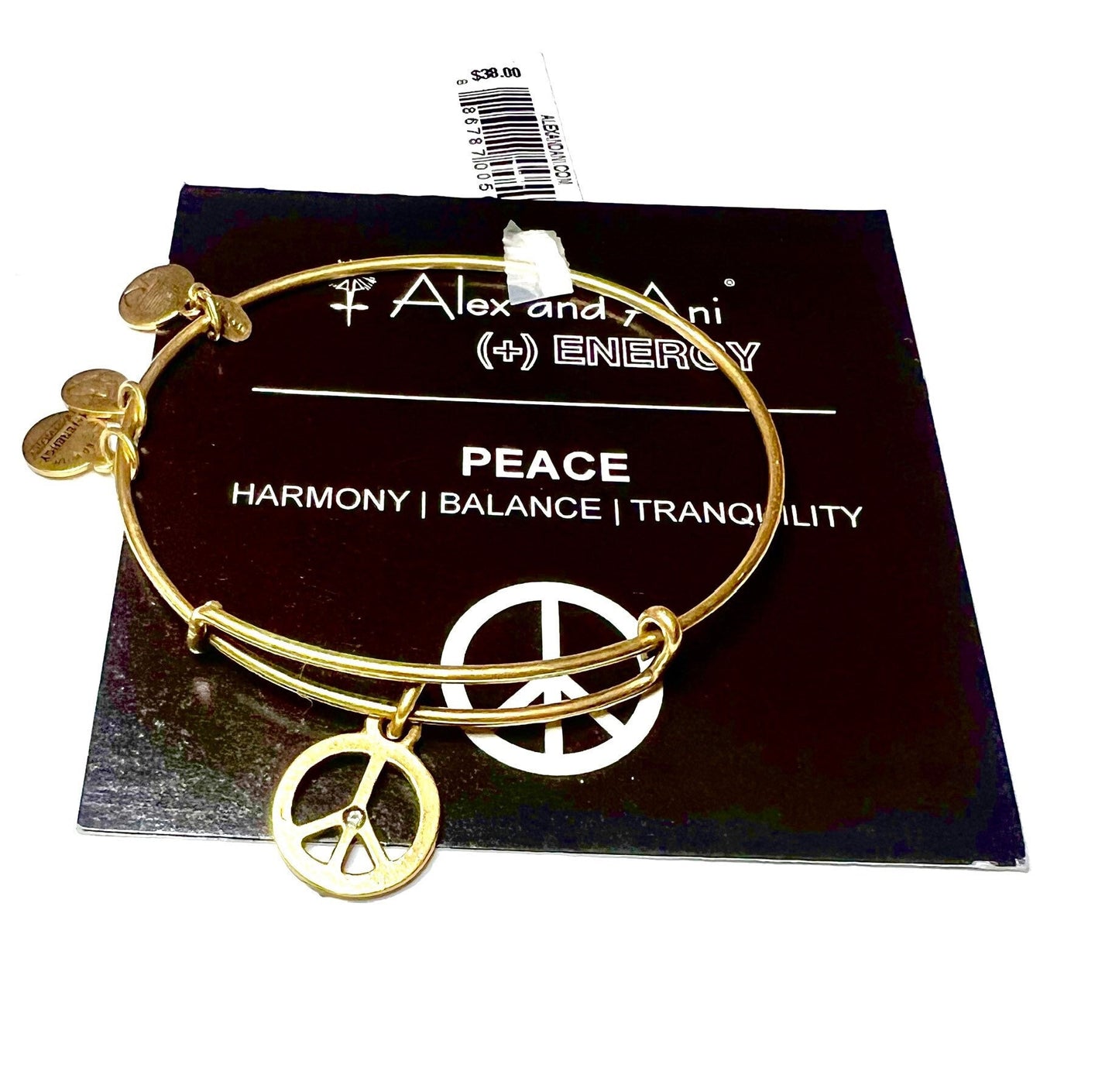Alex and Ani - “World Peace” Charm Bangle Bracelet