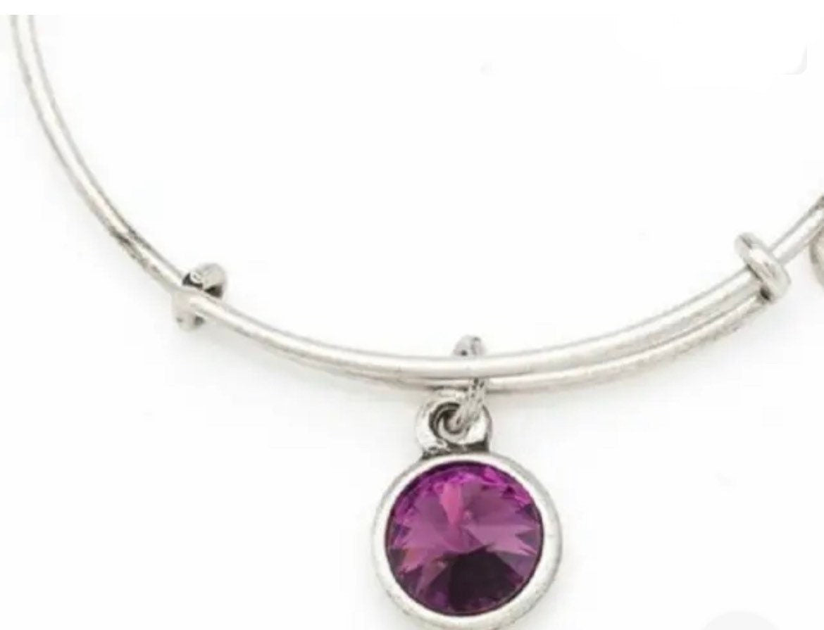 Alex and Ani - February Birthstone Swarovski Crystal Amethyst, Bracelet Bangle