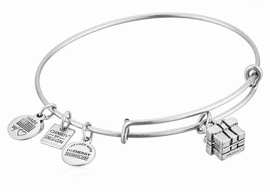 Alex and Ani - Gift Box Charm Bangle Bracelet Rafaelian Silver, Stackable, Adjustable, Collectors Gift for Her