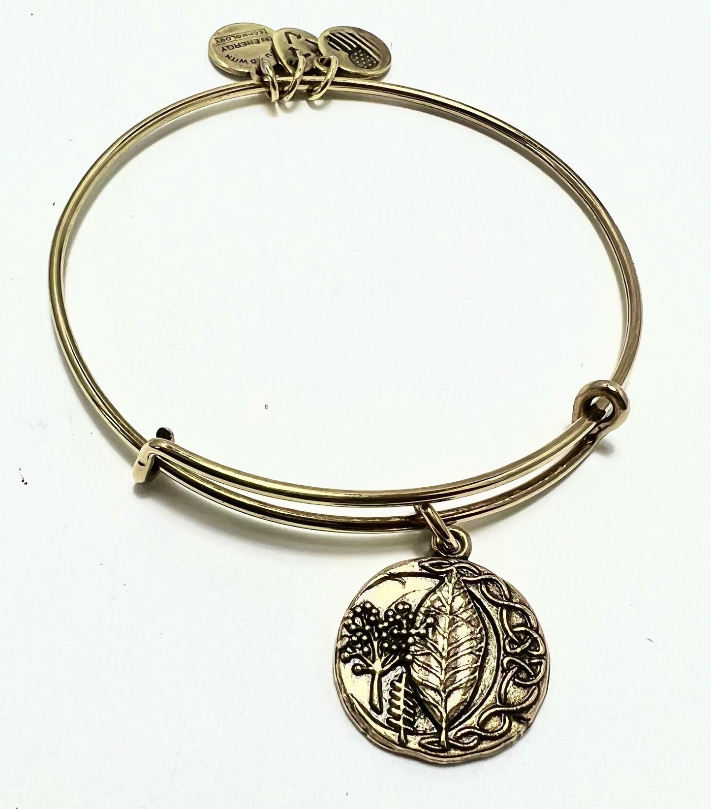 Alex and Ani - Elders Charm Bangle Rafaelian Gold®, Adjustable Stackable Bracelet, Collector's Item, Gift for Her