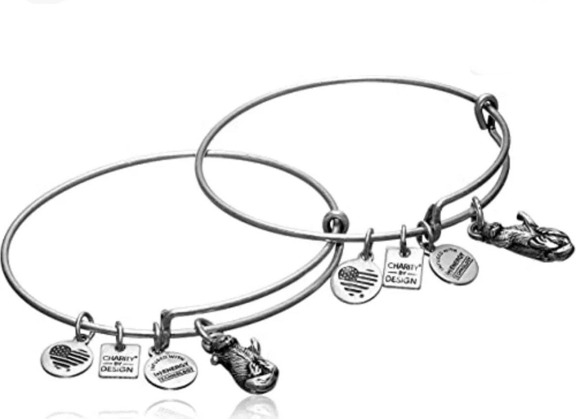 Alex and Ani - Charity by Design, Pair of Otters, 2 Bracelets, Rafaelian Gold/Silver, Gift for You & Your BFF, NWOT, Collectable Gift