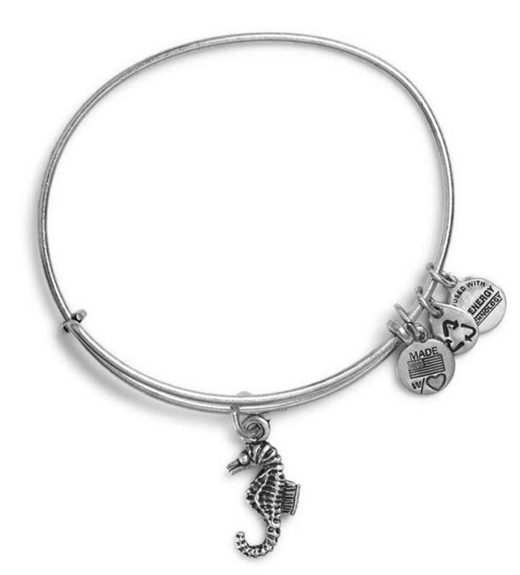 Alex and Ani - Seahorse Charm Bangle Bracelet - Rafaelian Silver/Gold, Stackable, Adjustable, Collectable Gift for Her, NWOT & NWT