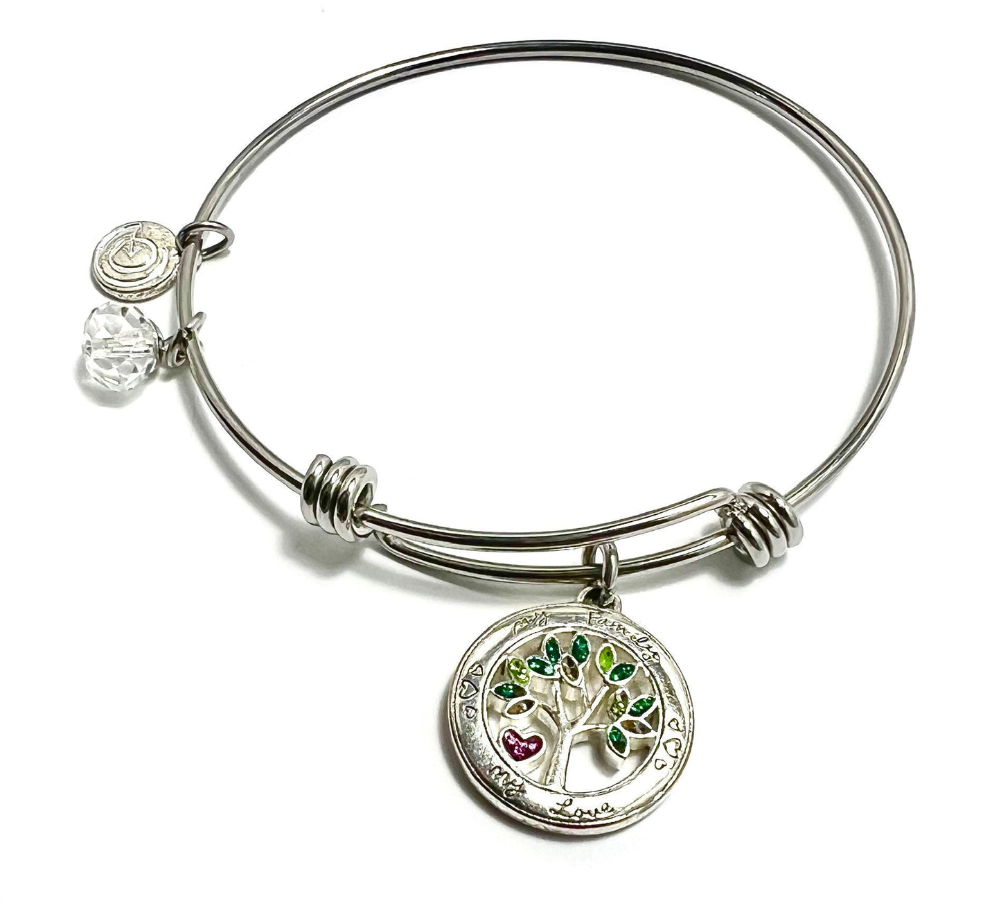 My Family, My Love Charm, Stainless Steel Family Tree Bangle Bracelet with Two Smaller Charms