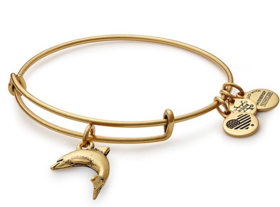 Alex and Ani - Dolphin Charm Bangle Bracelet