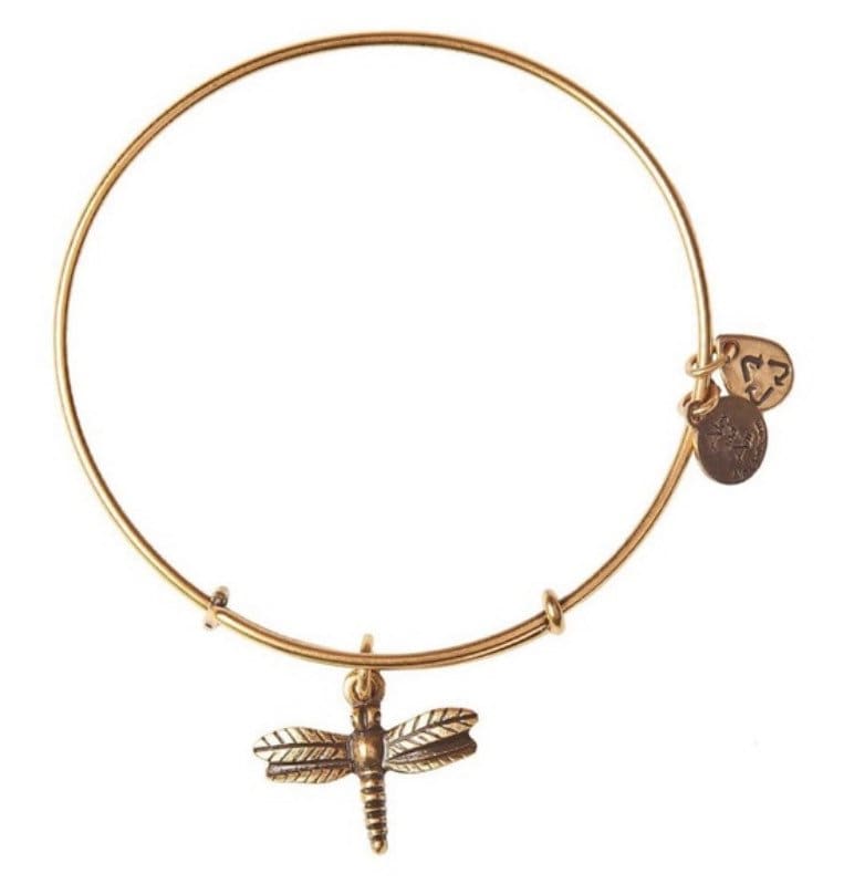 Alex and Ani - Dragon Fly Charm in Rafaelian Silver/Gold, Recycled Material, Expandable Bangle, Slide Bracelet, Collectors Gift for Her