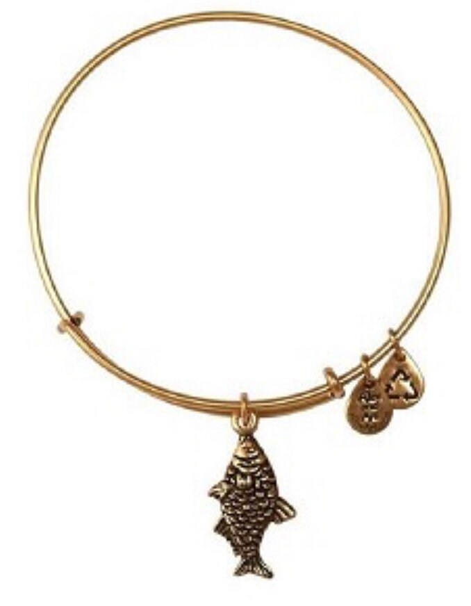 Alex and Ani - Koi Fish Charm Bangle Rafaelian Silver or Rafaelian Gold, Stackable, Adjustable, Collectable Gift for Her NWOT