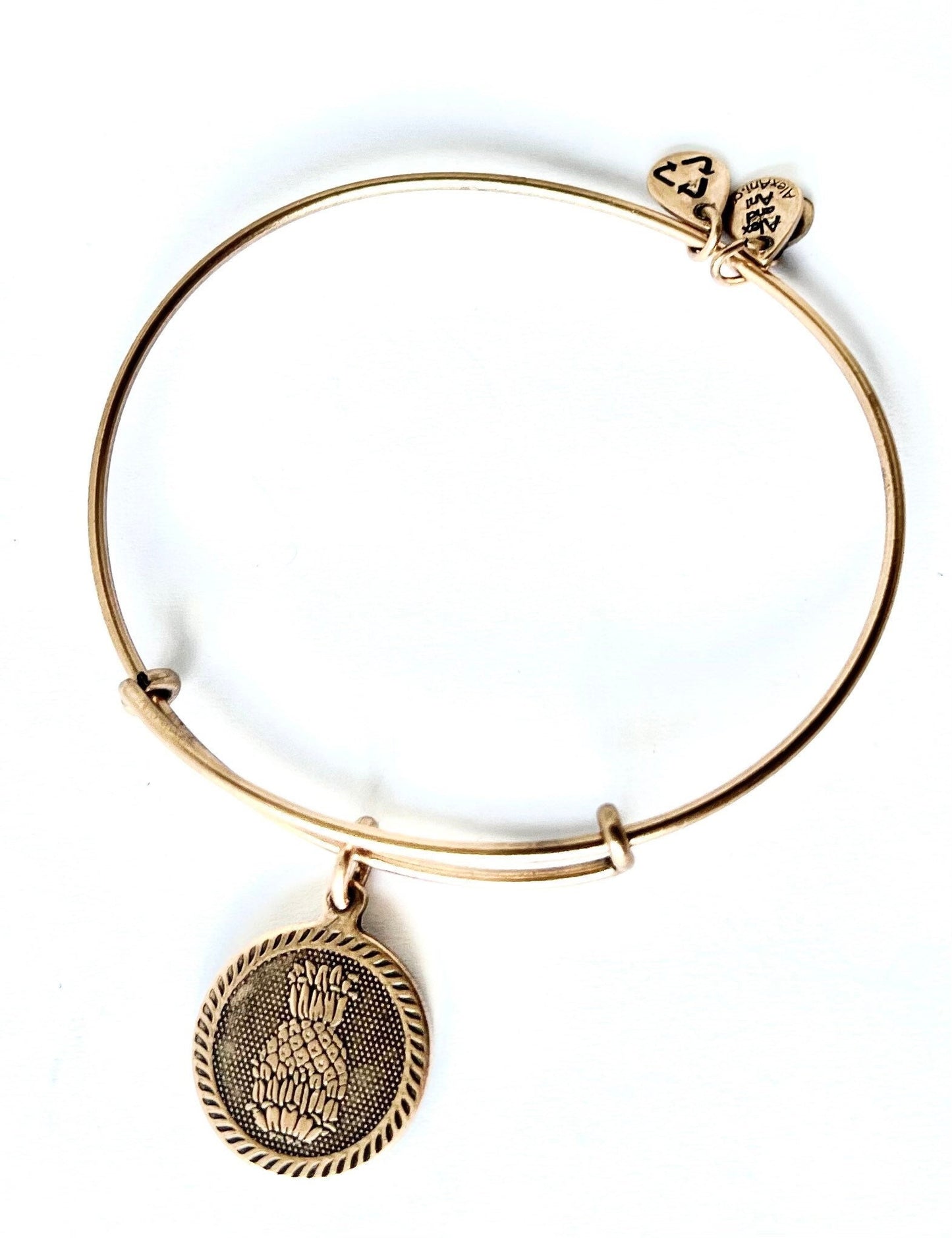 Alex and Ani - Pineapple Charm Bangle Bracelet in Rafaelian Silver/Gold,