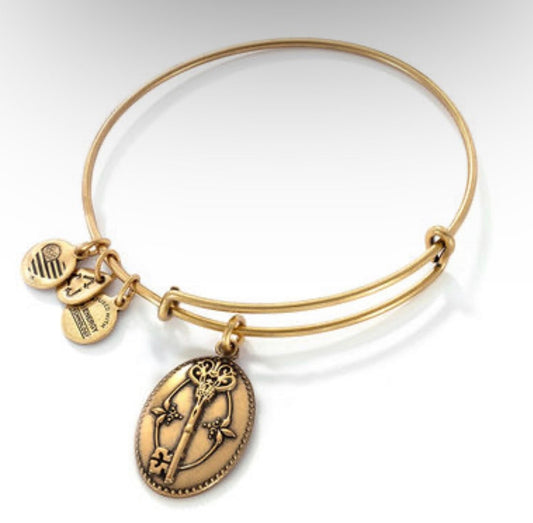 Alex and Ani - Key of Life Charm Bangle Rafaelian Gold, Stackable, Adjustable, Collector’s Bracelet, Gift for Her