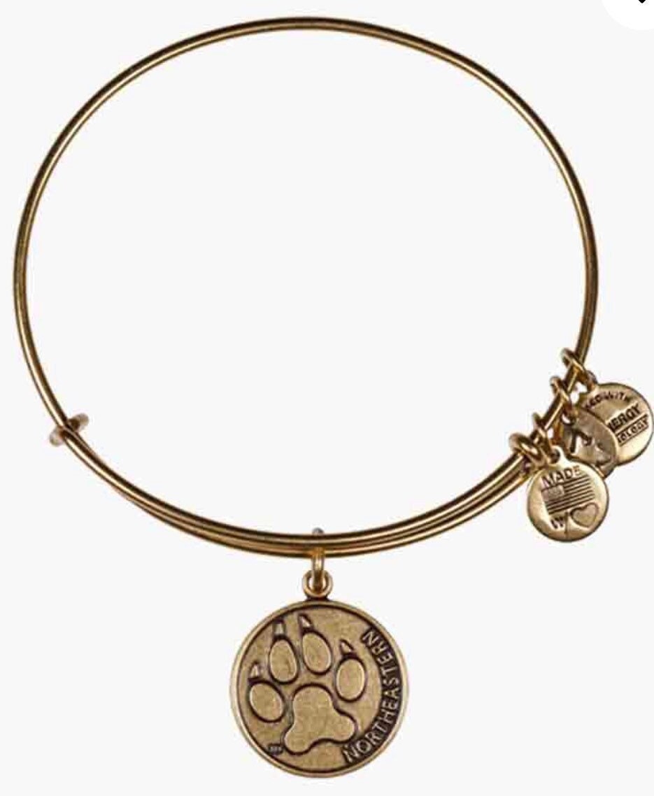 Alex and Ani - Northeastern University Alumni in Rafaelian Gold, Excellent Condition, Collector’s Gift For Her