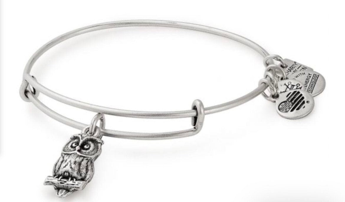 Alex and Ani - Owl in Rafaelian Gold or Silver Finish Charm Bangle, Adjustable Slide, Collectors Gift for Her