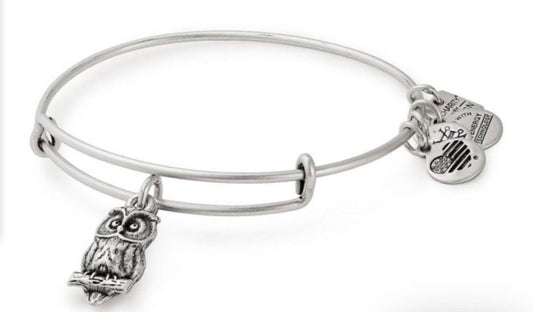 Alex and Ani - Owl in Rafaelian Gold or Silver Finish Charm Bangle, Adjustable Slide, Collectors Gift for Her