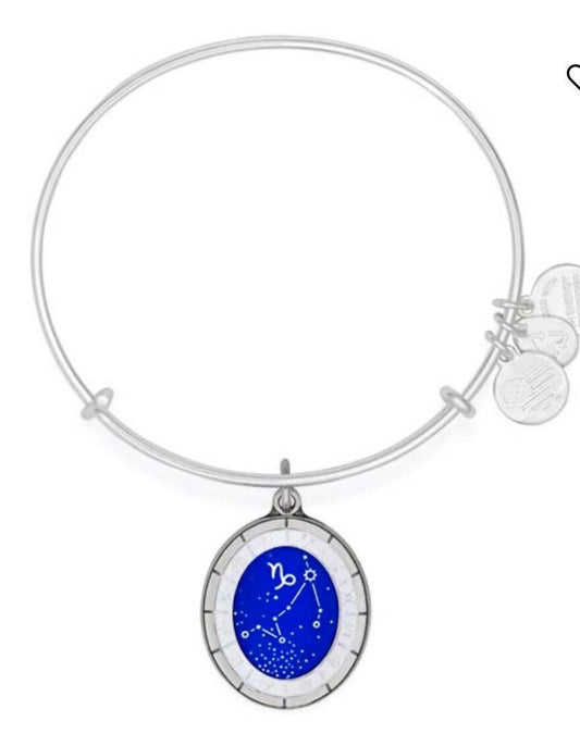 Alex and Ani - Celestial Wheel, Capricorn, 12/22–1/19, Rafaelian Shiny Silver, Stackable, Adjustable, Collector’s Bracelet, Gift for Her