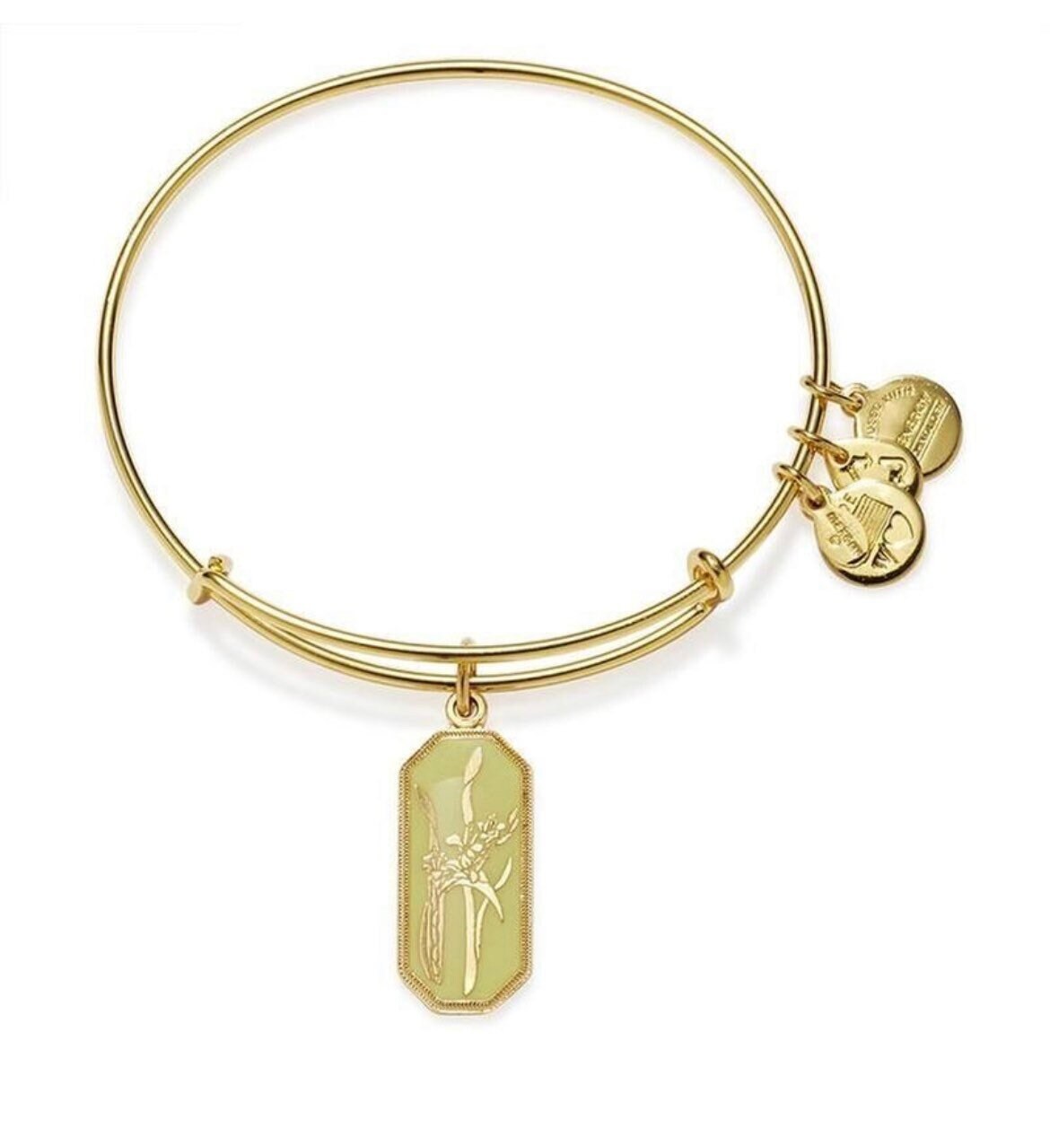 Alex and Ani - Warrior’s Will Gladiolus Charm in Rafaelian Silver or Shiny Gold, Adjustable Bangle Bracelet, Collectors Gift for Her