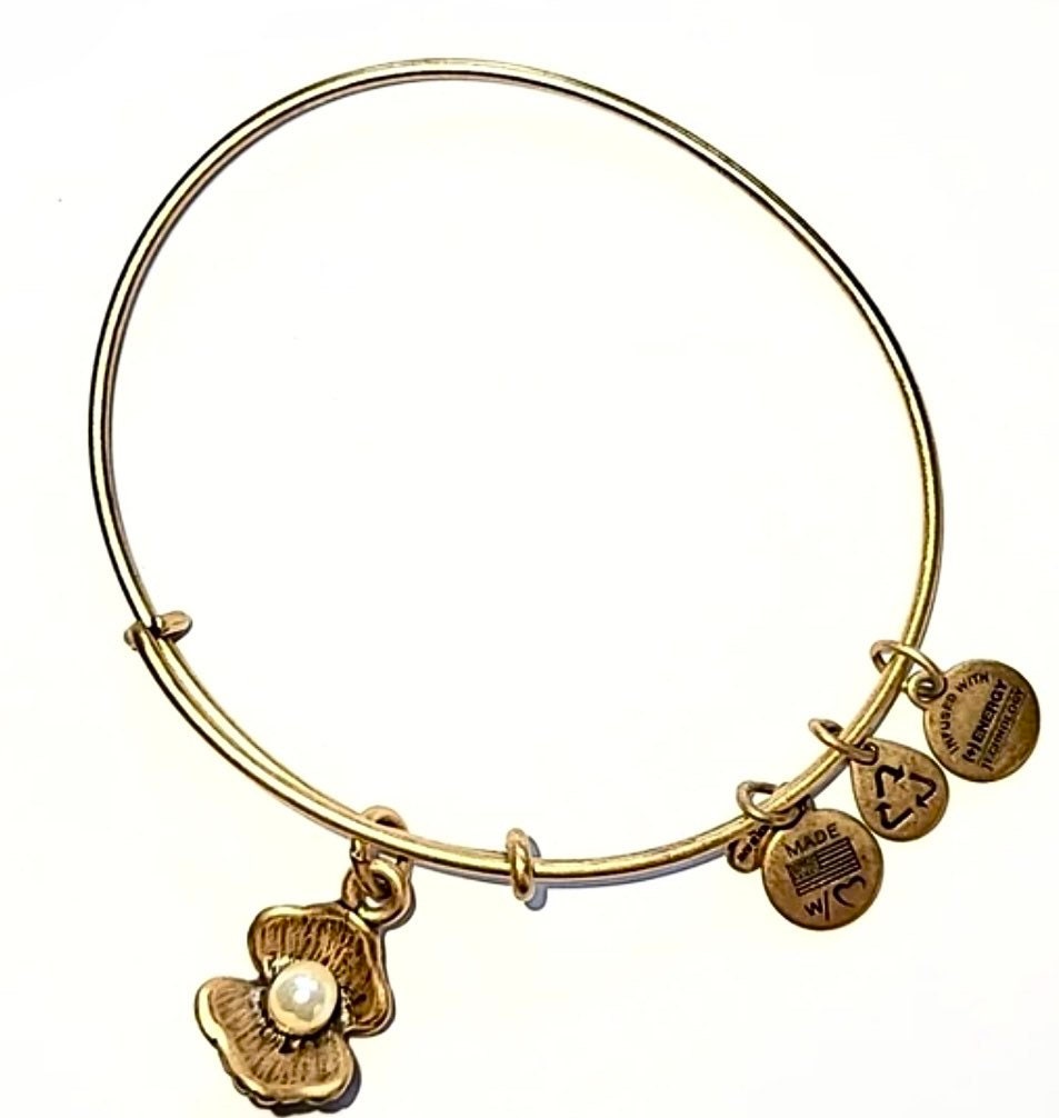 Alex and Ani - Alex and Ani Oyster Clam with Pearl Charm Bangle Bracelet