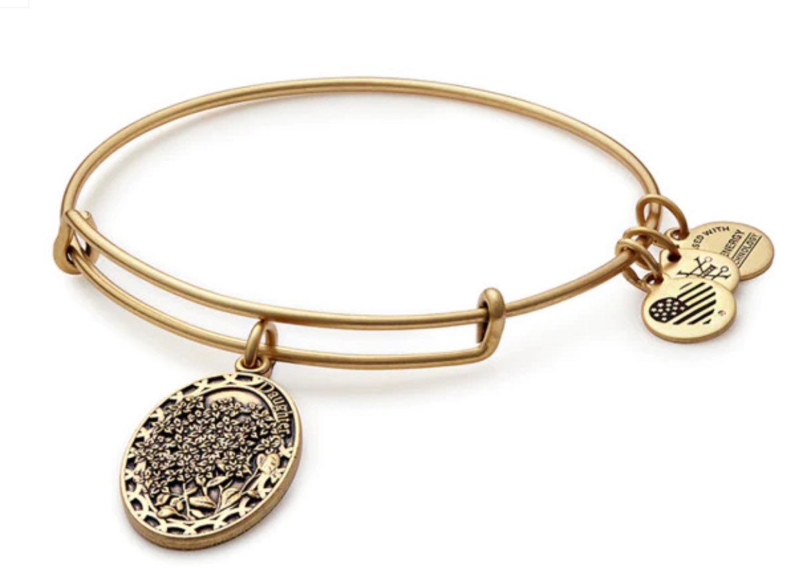 Alex and Ani -  Because I Love You Daughter II Charm Bangle Bracelet