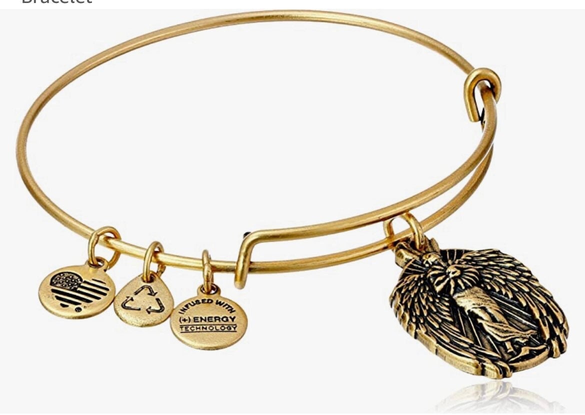 Alex and Ani - Guardian of Knowledge, Enlighten Me Charm, Rafaelian Rose Gold/Silver®, Angel Bangle Bracelet, Collectors Gift for Her