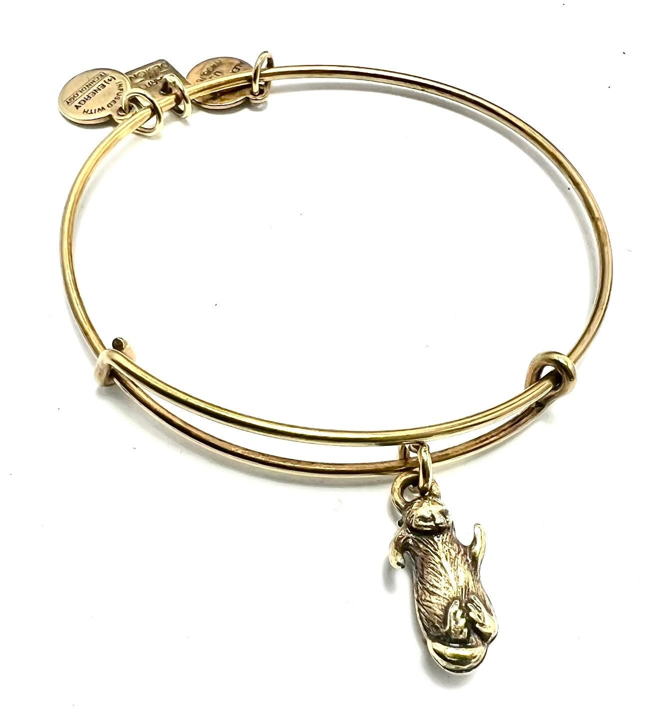 Alex and Ani - Charity by Design, Single Otter Charm, Rafaelian Gold/Silver, Bangle Bracelet, Adjustable, Collector’s Gift for Her