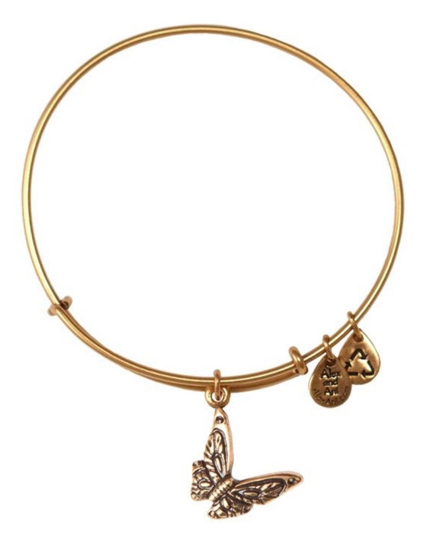 Alex and Ani - Butterfly Charm Bangle, Rafaelian Silver, Stackable, Grounded, Retired, Collectable, Gift for Her