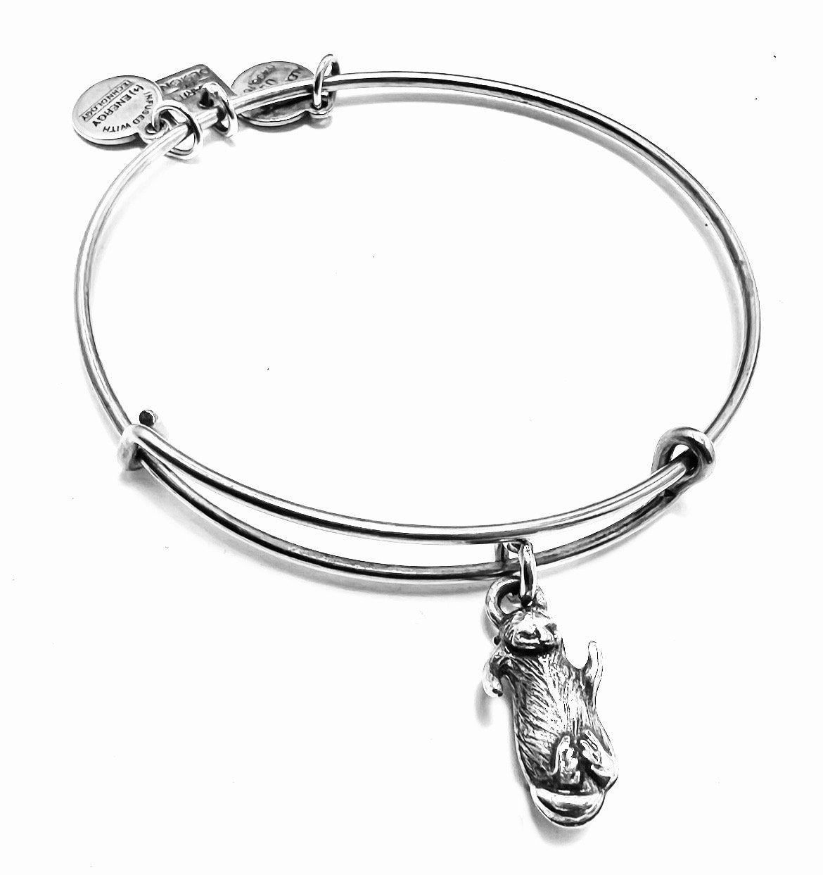 Alex and Ani - Charity by Design, Single Otter Charm, Rafaelian Gold/Silver, Bangle Bracelet, Adjustable, Collector’s Gift for Her