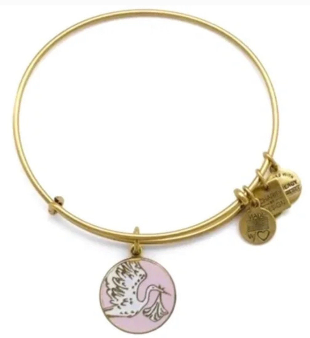 Alex and Ani - Blue Special Delivery Charm Bangle, Rafaelian Rose Gold Finish Charm Bangle