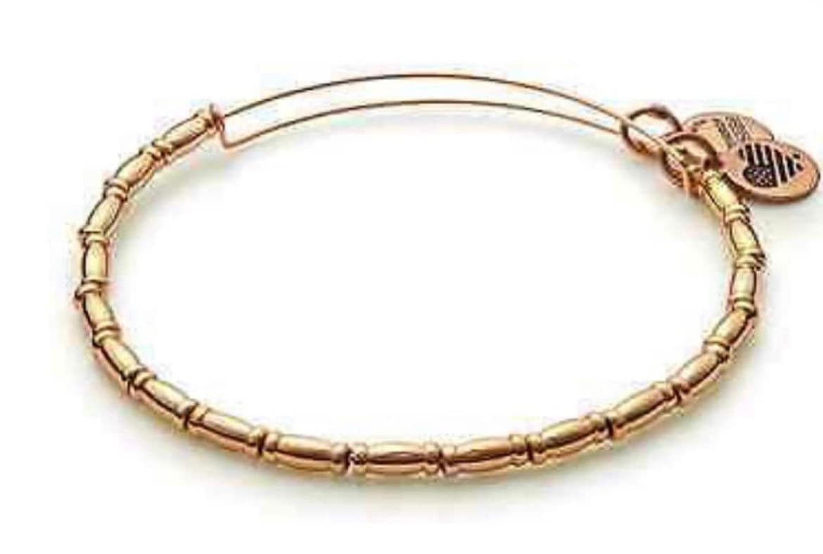 Alex and Ani - Female Reed Beaded Bangle Bracelet - Shiny Rafaelian Rose Gold/Silver®, Adjustable, Collector’s Gift for Her